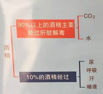 酒后駕駛危害多，你都知道哪些？