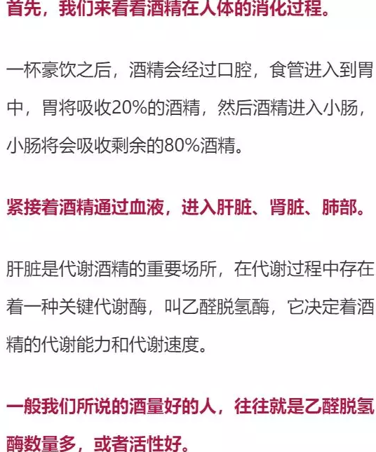 喝多少酒開車算酒駕？喝完酒多久能開車？這組數(shù)據(jù)，都說明白了